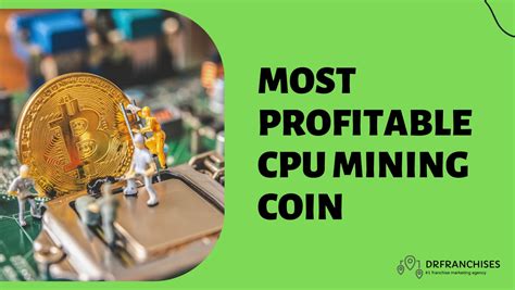 x hamster.|Which CPU mining coin is expected to be the most profitable in